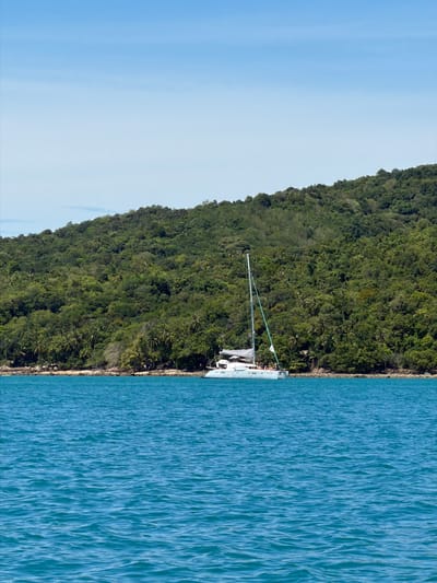 A catamaran is moored in the clear blue water just off the coast of a lush, green, tree-covered island. The boat, with its two hulls and single mast, is white with striped awnings. Several people are visible on the deck of the catamaran. The island's coastline is rocky and lined with trees, including palm trees, and some structures are partially visible amongst the foliage. The sky above is a clear, pale blue. The scene appears to be in Baan Thong Krut, Thailand.