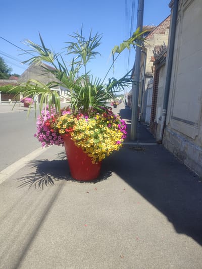 This is a medium shot photograph of a large, bright red planter filled with vibrant flowers and a palm frond, positioned on a sidewalk next to a street in Ressons-sur-Matz, France. The planter is predominantly filled with clusters of small, pink, yellow, and red flowers, with a tall green palm frond extending upwards and out of the planter. The planter casts a distinct shadow of palm fronds onto the asphalt sidewalk. The street runs diagonally from the lower left to the upper right of the image, with a pedestrian sidewalk on the right side. Buildings line the right side of the street, featuring stone and brick construction with a light-colored facade visible closest to the viewer. A utility pole and overhead wires are present on the left side of the street. In the background, more buildings and trees are visible under a clear blue sky. Another similar red planter with flowers is visible further down the street. The scene appears to be a sunny day.