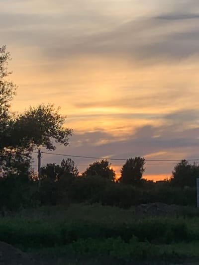 The image depicts a landscape scene with a sunset. The sky is filled with clouds in shades of orange, yellow, and gray. In the foreground, there is a dark silhouette of trees and vegetation, with a utility pole visible on the left. The ground in the lower part of the image is covered with grass and some darker soil. The overall scene suggests an outdoor environment, possibly in a rural or suburban area, under a twilight sky. The location is identified as Gvardeysk, Russia.