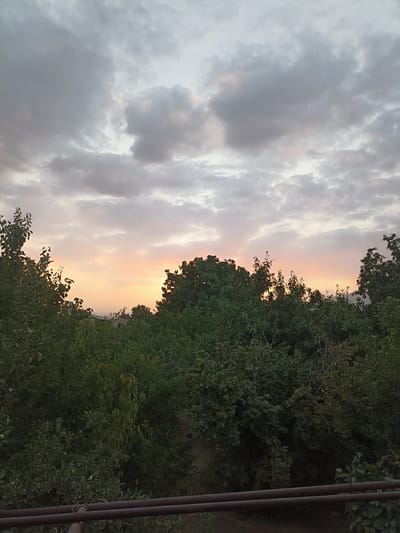 The image captures a sunset scene over the city of Aygezard, Armenia. The sky is filled with a mix of grey and pinkish-orange clouds, indicative of the setting sun. In the foreground, lush green trees dominate the lower half of the frame, with a few buildings faintly visible in the distance peeking through the foliage. Two dark, horizontal railings are present in the bottom part of the image, suggesting a balcony or fence. The overall atmosphere is serene and natural, with no people or overt human activity depicted.
