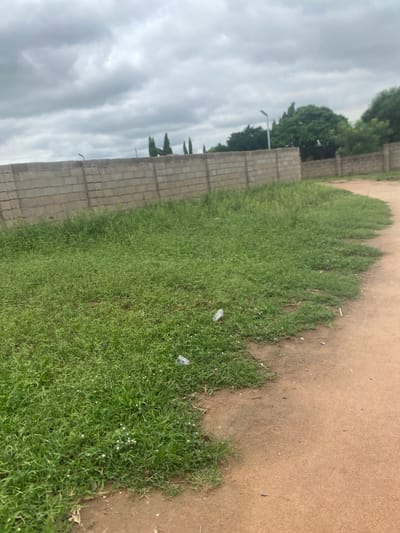 The image depicts an outdoor scene in Gulum, Nigeria, on a cloudy day. A roughly constructed wall made of light-colored concrete blocks runs horizontally across the frame from left to right, forming a boundary. In front of the wall, a patch of overgrown, green grass with small white flowers extends to the foreground. A dirt path, appearing reddish-brown, curves along the right edge of the frame, adjacent to the grassy area. In the background, several tall, dark green trees with pointed tops are visible above the wall, along with other foliage. A street light stands behind the wall in the distance. There are a few pieces of white plastic litter scattered in the grass. No people or animals are present in the image.
