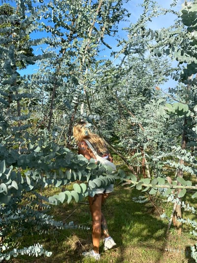 A woman with long blonde hair, wearing a white top and denim shorts, is standing in a grove of eucalyptus trees. She is turned away from the camera, looking into the trees. The trees have silvery-green leaves and thin trunks. The ground is covered in grass and some fallen leaves. The sky is blue and visible through the branches of the trees. The scene appears to be a rural or park-like setting in Thôn 3, Vietnam.