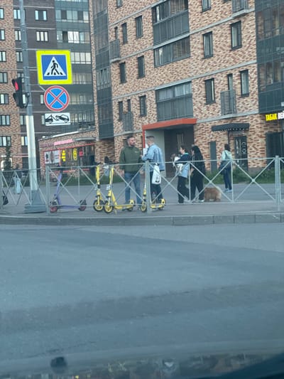 The image depicts a street scene in Pargolovo, Russia, near an apartment building. On the sidewalk, several people are visible, including two men standing near electric scooters, a woman holding a small dog, and another woman walking. A fluffy, light-brown dog is walking on the sidewalk. Three yellow electric scooters and one purple electric scooter are parked on the sidewalk. In the background, a multi-story apartment building with brick facade and dark-framed windows is prominent. Traffic signs are mounted on a pole, including a pedestrian crossing sign, a "no stopping" sign, and a towing sign. A traffic light with a red signal is also visible on the pole. A metal fence separates the sidewalk from the street. The scene appears to be during daylight.