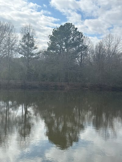 A tranquil scene features a body of water mirroring the sky and trees. The sky is partly cloudy with patches of blue. Tall trees, some bare and others evergreen, line the water's edge. Their reflections create a blurred and distorted image in the water, blending the boundary between the trees and their mirrored counterparts. A sense of stillness and quiet permeates the image.