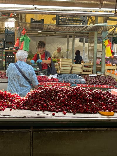 This image depicts a vibrant outdoor market scene, likely the Futoška Pijaca in Novi Sad, Serbia, known for its fresh produce. In the foreground, a large, overflowing display of bright red cherries dominates the frame, with a smaller pile of red currants to the left. A customer, a woman with short gray hair wearing a blue floral patterned shirt and a dark blue crossbody bag, stands with her back to the camera, examining the produce. In the middle ground, a female vendor with her hair pulled back and wearing a red shirt and blue gloves is attending to a scale, preparing to weigh blueberries. Behind her, other market stalls are visible, displaying more crates of fruit and vegetables. The market environment is suggested by the overhead structure, crates stacked on shelves, and the general bustling atmosphere.