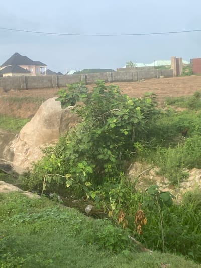 The image depicts a somewhat overgrown, undeveloped plot of land in Iddo Tudunwada, Nigeria. In the foreground, lush green grass and various plants dominate, with some dried leaves visible on a small tree. A large, light-colored boulder is partially obscured by dense foliage. To the right, a chicken is visible amidst the greenery. In the mid-ground, a rough, earthen embankment leads up to a flat area where construction appears to be in progress. A low, grey concrete block wall runs along the edge of this developed area. In the background, several buildings are visible, including a multi-story house with a dark, peaked roof, and other structures with light-colored walls and some with green roofing. A grey electrical wire stretches across the upper portion of the image. The sky is overcast. The scene suggests a transition zone between rural nature and emerging urban development.