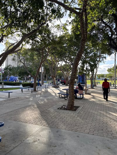 A sideways shot shows a tree-lined path with picnic tables. Trees are wrapped with lights. One person in red walks along the path as another sits at a table. Blue information signs stand between trees. A brick path cuts through the concrete pavement.