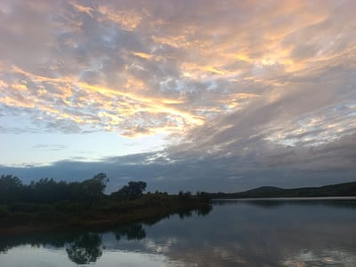 The image captures a serene natural landscape with a body of water reflecting the sky. The sky is filled with dramatic clouds, illuminated by the warm hues of sunset or sunrise, with streaks of orange, yellow, and pink interspersed with grays and blues. In the foreground, the water appears calm, with gentle ripples and a clear reflection of the overhead sky and the dark silhouettes of trees lining the opposite bank. The shoreline is densely covered with trees and vegetation, creating a natural, undeveloped edge. The overall impression is one of tranquility and the beauty of nature. The image is not explicitly located in Yaroslavsky, Russia, as no landmarks or identifiable features suggest this specific location.
