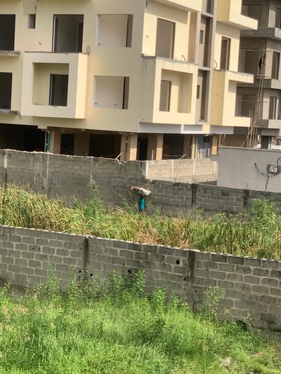 This image depicts a daytime scene in Moba, Nigeria, characterized by urban construction alongside undeveloped land. In the background, multiple multi-story buildings are observed in various stages of construction, featuring light yellow finished exterior walls, exposed concrete structural elements, and numerous open window and balcony apertures. A single individual, clad in dark clothing, is positioned on metal scaffolding attached to the exterior of the rightmost building. The midground is bisected by two parallel walls constructed from grey concrete blocks. Between and immediately behind the lower wall, and in front of the upper wall, is an area of dense, overgrown vegetation comprising green and desiccated grasses and smaller plants. A second individual is visible walking from left to right through this vegetated area, partially obscured, carrying a light-colored sack on their left shoulder. This person is wearing a light blue top and dark trousers. The immediate foreground is filled with dense, green, overgrown grass and small plants, preceding the lower concrete block wall.