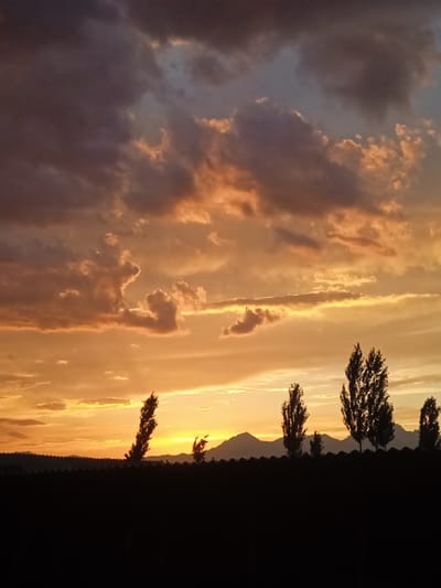 This media file captures a sunset over a landscape in Mikhaylovka, Kyrgyzstan. The sky is a dramatic display of colors, ranging from deep purples and grays in the upper clouds to vibrant oranges and yellows near the horizon. The clouds are textured and varied, with some appearing dark and heavy while others are illuminated by the setting sun.
Silhouetted against the colorful sky are several elements: the dark shapes of distant mountains form a jagged line across the horizon. In the foreground, a dark, undulating line suggests a rooftop or a series of low structures. Standing out from this foreground are the distinct silhouettes of several tall, slender trees with dense foliage. One tree, to the left of the frame, is particularly striking with its leaning form. The overall scene evokes a sense of tranquility and natural beauty, characteristic of a sunset.
The time of day is clearly evening, as indicated by the sunset. The weather appears to be partly cloudy, with the clouds contributing significantly to the visual drama of the sky. No people or specific objects are identifiable in the foreground or background, apart from the natural elements and structures. No text is visible in the image.