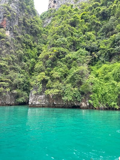 The image depicts a serene view of turquoise waters meeting a lush, green, rocky cliff face. The water in the foreground is clear and calm, with slight ripples on its surface. The cliff, rising dramatically from the water, is covered in dense vegetation, with various shades of green foliage clinging to its rocky slopes. The scene suggests a natural, untouched environment, possibly a bay or cove within Ao Nang, Thailand, known for its stunning limestone karsts and emerald waters. There are no people or man-made structures visible in the image, emphasizing the natural beauty of the location. The overall impression is one of tranquility and the raw beauty of nature.