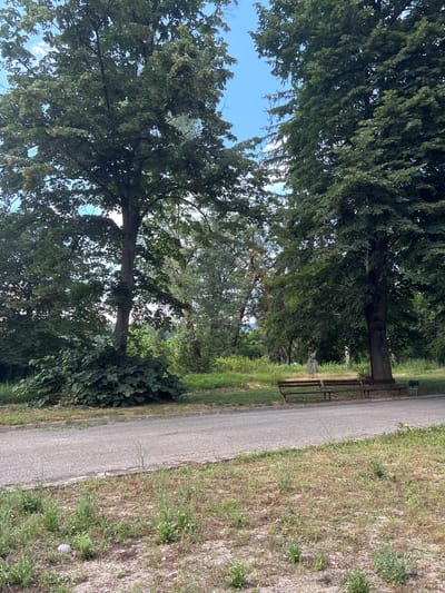 The image depicts a public park area in Garmen, Bulgaria, characterized by mature trees and a paved pathway. In the foreground, a dirt and gravel area with sparse vegetation borders a paved path that curves into the midground. Two park benches, constructed with wooden slats and metal frames, are positioned parallel to the path, situated on a grassy area. To the right of the benches, a black trash receptacle is visible. The background is dominated by dense foliage from large trees, with a clear blue sky overhead interspersed with a few clouds. The overall scene suggests a tranquil outdoor setting, likely a municipal park or recreational space. There are no people or animals present in the image.