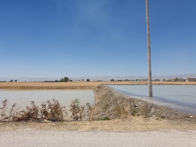 The image depicts a rural landscape in Kheyrabad, Iran. A body of shallow, murky water fills the foreground and middle ground, reflecting the clear blue sky above. A dirt embankment separates two sections of this flooded area, with dry vegetation and straw scattered along its edge. In the background, a dry, cultivated field with golden-brown crops stretches towards a distant horizon dotted with scattered buildings and mountains. A tall, rough-textured concrete pole stands vertically in the water on the right side of the image, its base submerged. The overall impression is one of an agricultural area likely used for irrigation or cultivation, under a bright, sunny sky.