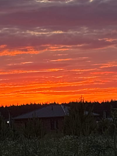 The image shows a sunset over a rural area, likely a village or dacha settlement. The sky is filled with vibrant orange and red hues, indicating the sun is setting. There are horizontal bands of clouds contributing to the dramatic sky. In the foreground, silhouetted trees form a dark line against the bright sky. Below the trees, the roof of a house with a dark gray tile is visible. Dense foliage and vegetation are in the immediate foreground, obscuring much of the ground. The overall impression is one of a peaceful evening in the countryside. While the query mentions the city of Конь, Russia, this specific location cannot be visually confirmed from the provided image alone.