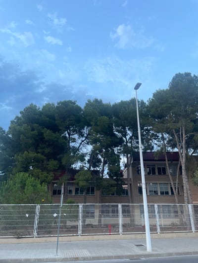 A tall, white street lamp stands prominently in the foreground, casting a shadow on the adjacent sidewalk. Behind the lamp, a light brown brick building with numerous windows is partially obscured by a dense arrangement of tall, green pine trees. The building has a red-tiled roof. A white metal fence runs horizontally across the midground, separating the sidewalk from the building and trees. The sky above is a pale blue, with scattered clouds, some appearing dark and heavy. The overall scene suggests an outdoor environment, possibly near a school or institutional building in Sagunto, Spain.