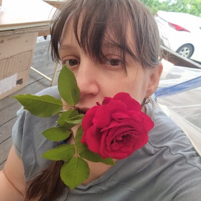 In this close-up, upside-down photograph, a person's face is partially obscured by a vibrant red rose held in front of it. The subject has dark brown hair that falls across their forehead and over their right eye. Their left eye, a deep brown, is visible, as are parts of their nose and cheek. A small, silver earring is visible on their left earlobe. The person is wearing a grey t-shirt, and the fabric is visible in the background, showing soft folds and texture.
The rose is the focal point, with its rich red petals tightly furled in the center and opening outwards. Several bright green leaves with serrated edges are attached to a stem extending from the rose, with one leaf positioned near the person's nose and mouth.
In the blurred background, a white vehicle is partially visible, with a black tire and wheel. Above the vehicle, some greenery suggests an outdoor setting, possibly with trees. The ground appears to be made of weathered wooden planks. The lighting suggests it is daytime, with natural light illuminating the scene. There is no visible text in the image.
