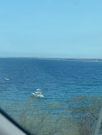 The image depicts an expansive view of the ocean in Los Barriles, Mexico, under a clear, light blue sky. The water is deep blue with visible surface ripples, occupying the majority of the frame. Two white recreational boats are present. The prominent boat in the mid-ground is a sportfishing vessel, approximately 25-30 feet long, featuring a cabin, a flybridge, a tower, and outriggers. It appears stationary, possibly anchored, with a white buoy floating nearby. Faint text, possibly "TRUELIGHT," is discernible on its hull. A second, smaller white boat is visible further in the background, also appearing stationary. A distant, light-colored coastline stretches horizontally across the horizon, exhibiting scattered structures and vegetation. The lower foreground shows blurred, sparse green and brown foliage, partially obscuring the water. A dark, diagonal line in the lower left corner suggests the image was captured from within a vehicle or through a window. No individuals are visible in the scene, and no explicit actions or interactions are occurring.
