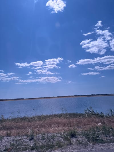 The image depicts a wide expanse of calm, blue water, likely a lake or estuary, under a bright, clear blue sky dotted with scattered white cumulus clouds. The foreground features a strip of dry, brown grass and vegetation, with a gravelly texture in the very bottom of the frame, suggesting a roadside or embankment. In the distance, a thin line of trees and some scattered buildings are visible along the far shore, indicating a settlement. The scene is tranquil and appears to be a natural landscape. The location is identified as the city of Koshary, Ukraine, suggesting this is a view of a body of water within or near that region. There are no people, animals, or explicit actions depicted in the image; it is a static environmental scene.