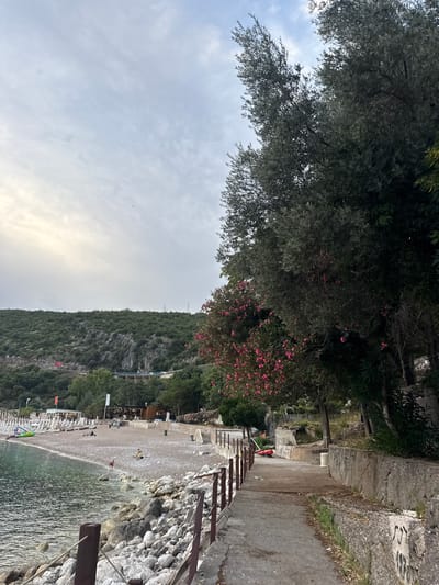 The image shows a beach scene in Kamenovo, Montenegro. The perspective is from a slightly elevated viewpoint, looking down towards the water and beach. A rocky slope covered in lush green vegetation rises steeply behind the beach.
In the foreground, the clear, calm water laps gently onto a pebble beach. A wooden fence, with a weathered appearance, runs along the edge of the beach, separating it from a paved walkway. Beyond the fence and walkway, a section of the beach is lined with rows of white lounge chairs and umbrellas, suggesting a developed tourist area.
Further up the beach, several small groups of people are visible. Some are walking, while others appear to be relaxing. One person is in the shallow water, and another is seen sitting on the sand. In the background, there are some buildings and structures, possibly restaurants or beachside facilities, nestled amongst the trees.
Above the beach and to the left, a large tree with dark green foliage dominates the frame, its branches extending towards the sky. Scattered amongst the leaves are clusters of bright pink flowers, adding a touch of color to the scene. The sky is overcast with soft, diffused light, indicating it might be early morning or late afternoon. The overall atmosphere appears peaceful and relaxed, characteristic of a seaside resort. There is no visible text in the image.