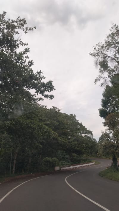 The image displays a winding asphalt road cutting through a dense, verdant forest under a heavily overcast sky. The road features solid white lines along both edges, guiding the eye as it curves gently to the right, disappearing into the lush green foliage ahead. On the right side of the road, a low, white concrete and metal guardrail follows the bend, separating the road from a forested embankment.
Tall, leafy trees with rich green canopies flank both sides of the road, creating a natural, tunnel-like effect in places. The foliage appears thick and healthy, characteristic of a tropical environment. The sky above is a uniform light grey, filled with soft, diffused clouds that indicate an overcast day. Faint, thin horizontal lines, possibly power or communication cables, are visible against the cloudy backdrop in the upper middle section.
There are no people, vehicles, or specific activities depicted in the scene, conveying a sense of tranquility and natural solitude. The presence of what appears to be water droplets or rain streaks on a surface in the foreground suggests the photograph was taken from inside a vehicle, possibly during or after a light rain. The setting is identified as Lamtamot, Indonesia, which aligns with the tropical, forested landscape. No text is visible within the image.