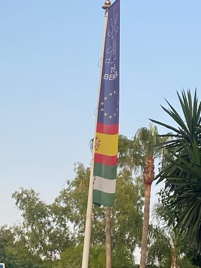 A flag is unfurled from a flagpole against a clear blue sky. The flag is divided into several colored sections, with the leftmost section being dark blue and adorned with yellow stars. To the right of the blue section are stripes of red, yellow, and green. A white element, possibly another flag or part of the pole structure, is visible to the far right.
Behind the flag, palm fronds and other green foliage are visible, suggesting an outdoor setting with tropical or Mediterranean vegetation. The flag appears to be made of fabric and is illuminated by natural light, indicating it is daytime. The lighting and clear sky suggest fair weather. The flag itself has some text on it, with "TERA" being partially legible on the blue section. The overall scene evokes a sense of place, possibly a park, resort, or public area in a sunny location. The image is taken from a low angle, looking upwards.