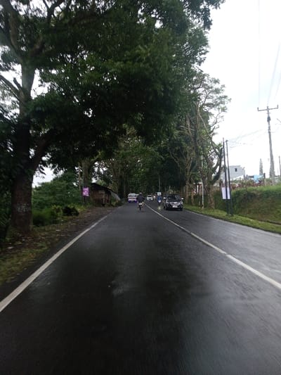 A wide-angle, slightly elevated view captures a wet, two-lane asphalt road in Serpang Shalli, Bhutan, under an overcast sky. Dense green trees and foliage line both sides, creating a canopy effect further down the road. The road surface is dark and reflective, marked with a solid white line on the left and a dashed white line on the right. On the left shoulder, a rustic wooden shack with a brown roof is partially visible behind vegetation, accompanied by a rectangular purple sign. On the right, a grassy embankment ascends, featuring utility poles with power lines and a white rectangular banner attached to one pole. A modern building with white walls is visible on the distant right, above the embankment. Multiple vehicles are traveling away from the camera: a person on a bicycle in the foreground-midground in the left lane, a white bus with purple headlight glow and a dark SUV in the mid-distance, and several motorcycles further back, one with a distinct blue headlight glow.
