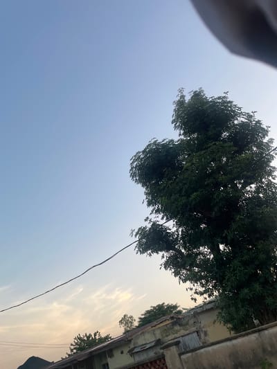 The image shows an outdoor scene in Wauro Jabbe, Nigeria, with a large, leafy tree dominating the right side of the frame. A power line stretches diagonally across the sky, from the left to the tree. In the background, there are several buildings with corrugated iron roofs, some of which appear aged and weathered. The sky is a light blue with wispy clouds, suggesting it is either early morning or late afternoon. The bottom of the image is obscured by a concrete wall in the foreground. There are no people visible in the image.