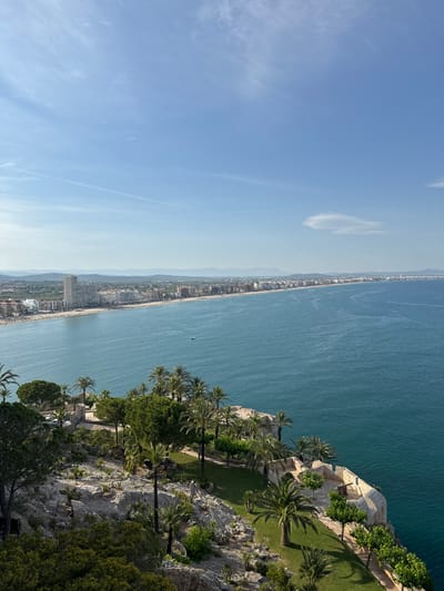 The image presents a panoramic, high-angle view of a coastal landscape bathed in bright daylight. The sky, occupying the top left, is a clear, light blue with scattered thin, white clouds and faint contrails.
Across the midground, a long, narrow strip of land, likely a peninsula or extended beachfront, stretches horizontally, separating the deep blue-green sea from distant, hazy mountains or hills. This land strip is densely urbanized with numerous buildings lining a visible sandy beach. A small, light-colored boat can be seen on the water.
In the foreground, to the right, a rugged, rocky cliff descends towards the sea. This cliff is lushly covered with vegetation, including numerous tall palm trees and other dense green trees and shrubs. Perched on the cliffside is a historical-looking light-colored stone structure, resembling a fortress or castle, complete with walls, battlements, and well-maintained grassy areas. A dark cannon is visible behind one of the walls.
The scene is illuminated by bright sunlight, suggesting a clear and sunny day with excellent visibility. The overall impression is that of a picturesque Mediterranean vista, captured from a high vantage point overlooking the sea and a developed coastline. The provided context identifies the location as Peníscola, Spain. There is no visible text in the image.