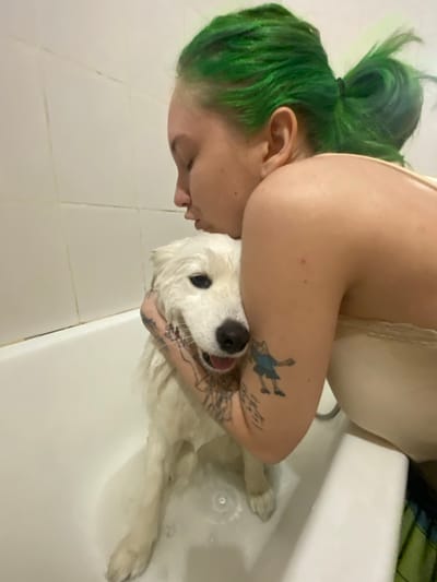The media file shows a close-up, rotated image of a person giving a white dog a bath in a bathtub. The person has bright green hair styled in a bun and is wearing a light-colored garment. They have tattoos on their arm. The dog is white with dark eyes and its tongue is visible. The scene appears to be indoors, with white tiled walls and a white bathtub. The lighting suggests daytime. The emotional tone seems to be affectionate and caring, as the person is holding the dog close. No visible text is present in the image. The location context of Khabarovsk, Russia is provided.