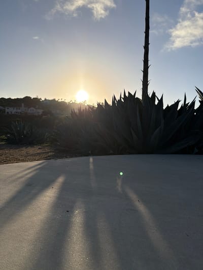 An outdoor scene at sunrise in Aliso Viejo, California, features a large agave plant in the foreground with long, sharp leaves. The sun is low in the sky, casting long shadows across a paved pathway in the foreground. In the background, a hillside is dotted with residential houses and palm trees, all silhouetted against the bright sky. The sky is a pale blue with scattered white clouds, and the sun is a bright orb creating a lens flare.