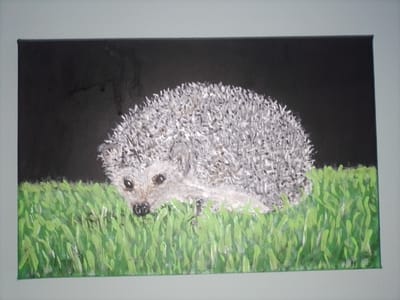 This is a painting of a hedgehog in the grass. The hedgehog is gray and white with black eyes. It is facing forward, with its nose to the ground. The grass is green and appears to be freshly cut. The background is black, which suggests it may be nighttime or a dark setting. The painting is on a canvas and framed in a light-colored mat. The style of the painting is impressionistic, with visible brushstrokes. There is no visible text. The location context is Kalisz, Poland.