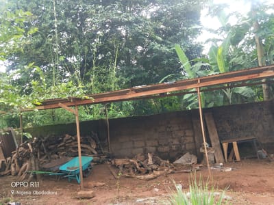 A wide outdoor shot shows a partially covered area with a wooden roof supported by poles, likely a shelter for storing materials. The ground is reddish-brown earth, and the area is filled with piles of chopped firewood. Two wheelbarrows, one blue and the other a lighter color with green handles, are positioned among the wood. A rough, concrete wall forms the backdrop for the storage area, and beyond it, lush green vegetation, including trees and banana plants, is visible under a bright sky. In the lower left corner, a watermark indicates "OPPO R11" and a location tag "Nigeria Obodoukwu." The scene suggests a rural or semi-rural setting where firewood is being prepared or stored.