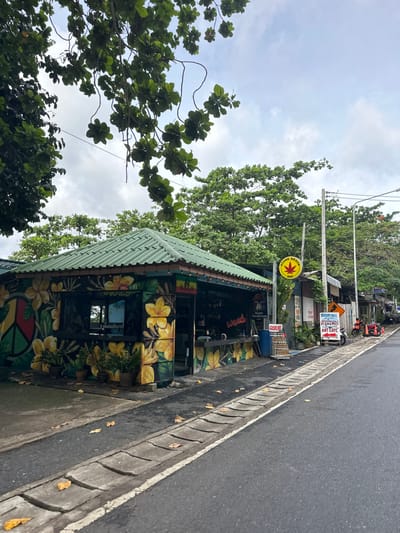 A roadside establishment in Patong, Thailand, features a vibrant mural of flowers and peace symbols painted on its exterior. A green corrugated roof covers the structure, which appears to be a bar or cafe. Various signs are visible, including one that reads "Stone Beach Bar" with a red cannabis leaf emblem and another advertising "ART CAFE" with Thai script. Several potted plants are placed outside the building, and a gutter runs along the edge of the asphalt road. Fallen leaves are scattered on the sidewalk and road. In the background, trees line the street, and power lines are strung overhead. A few motorcycles are parked nearby, and traffic cones are visible on the side of the road. The sky is overcast, with clouds obscuring the sun.