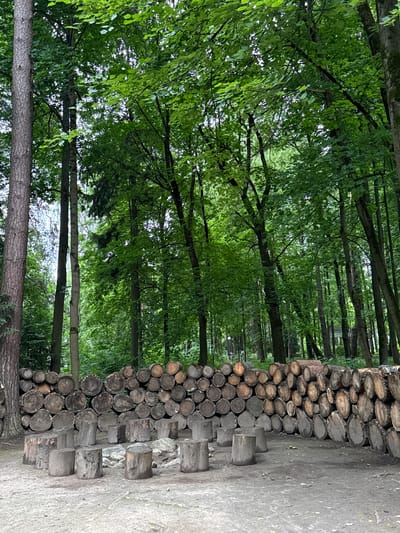 The image shows a stack of firewood on the right side, with a forest in the background. The firewood is neatly arranged, with logs of various sizes and shapes stacked horizontally. The forest is dense and green, with tall trees and lush foliage. The ground in front of the firewood is a dirt path, and there are a few scattered rocks. The image is taken from a low angle, looking up towards the trees. The lighting suggests it is daytime, possibly late morning or early afternoon, with the sun filtering through the leaves. The overall scene evokes a sense of nature and rustic simplicity. There is no visible text in the image.