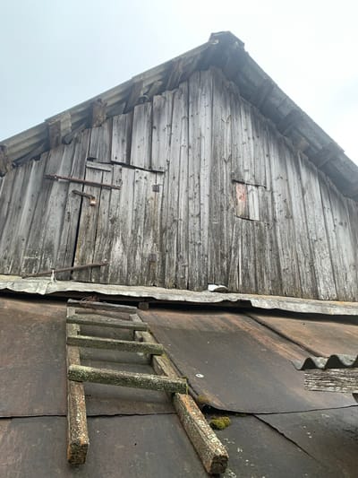 The image shows the weathered exterior of an old wooden structure, likely a barn or shed, with a corrugated metal roof. A rustic wooden ladder, green with moss, rests on the roof. The wooden facade of the building is grey and shows signs of age and wear, with vertical planks. There are two small, rectangular openings in the wooden wall, and a narrow doorway secured by metal bars and a padlock. The overall impression is one of disuse and neglect. The location is identified as Vidzaŭski sel'ski savet, Belarus, suggesting a rural or semi-rural setting. The sky is overcast, contributing to the muted color palette and somber atmosphere of the scene.