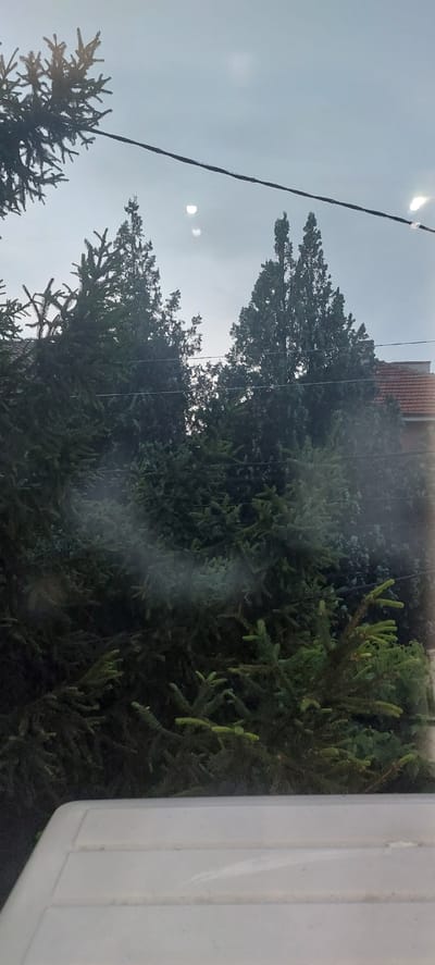 The image captures a cloudy sky with several diffused light sources visible, possibly reflections or the sun through the haze. A dark horizontal wire stretches across the upper portion of the frame, with evergreen trees in various shades of green dominating the midground and foreground. The trees are dense and appear to be a mix of fir and possibly cypress trees. A portion of a red-tiled roof is visible behind the trees on the right side of the image. In the foreground, the top of a white, textured object, likely a vehicle or furniture, is visible, suggesting the photograph was taken from inside or looking over this object. The overall scene suggests an outdoor environment, potentially a residential area, with a somewhat overcast atmosphere. This location is Yagodovo, Bulgaria.