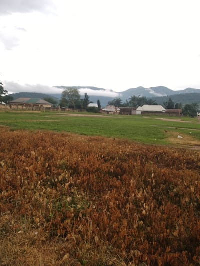 In the city of Serti, Nigeria, this photograph captures a landscape featuring a dry, brown field of dead vegetation in the foreground, transitioning to a vibrant green field in the midground. Beyond the green field, a cluster of buildings, including houses with corrugated iron roofs, are visible, with a brick wall surrounding a property. In the background, a line of trees stands in front of rolling hills partially obscured by mist and clouds, indicating a possibly humid or overcast day. The overall scene depicts a rural or semi-rural environment, potentially a village on the outskirts of Serti, characterized by agricultural land and modest housing.
