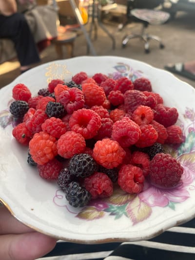 A close-up shot captures a decorative white plate filled with fresh raspberries and blackberries, presented at a low angle. The plate, featuring a floral design with pink and green hues and a gold rim, is held by a person whose hand is visible at the bottom of the frame. In the blurred background, an outdoor setting is suggested, with hints of people, furniture, and possibly a glimpse of a city environment that could be Maykop, Russia. The lighting appears to be natural daylight.