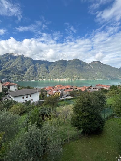 This image presents a panoramic view of the village of Nesso, Italy, situated on the eastern shore of Lake Como. The sky is bright blue with scattered white cumulus clouds, partially obscuring the upper reaches of the mountains in the background. A range of heavily forested, dark green mountains dominates the horizon, with some peaks exhibiting light cloud cover or mist. Below these mountains, the tranquil, greenish-turquoise waters of Lake Como extend horizontally across the mid-distance.
The mid-ground features the residential area of Nesso, characterized by numerous buildings with distinct terracotta-tiled roofs and light-colored facades, including white, cream, and yellow hues. A prominent white, multi-story building with a dark grey roof and multiple windows is positioned on the left side of the village cluster. Other residential structures are densely arranged, descending towards the lake. Several vehicles are parked on a paved area within this village segment.
The foreground is comprised of dense, uncultivated green vegetation, including various trees with differing leaf structures (some indicative of olive trees), shrubs, and patches of grass. A dark green mesh fence runs along the right side of the foreground, bordering a grassy section. No human figures are visible, and no discernible actions or interactions are depicted. The scene is illuminated by strong daylight.