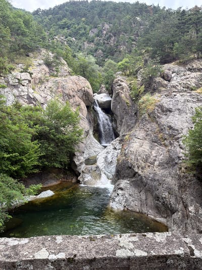 The media file depicts a natural scene of a waterfall cascading into a pool of dark green water, surrounded by rocky terrain and lush vegetation. The image is oriented vertically, with the waterfall and pool appearing in the upper portion and the rocky cliff face and trees dominating the lower half. The rocks are a mix of light gray and darker, textured surfaces, some covered with patches of moss or lichen. Dense green foliage, including trees and bushes, grows from the crevices and slopes of the rocks, adding to the wild, untamed feel of the environment.
The waterfall itself is not very large, appearing as a thin stream of white water flowing over ledges and rocks. The pool into which it falls is calm and reflects the surrounding greenery, with some ripples visible on its surface. The overall impression is one of a secluded, picturesque natural setting.
There are no visible people or man-made objects, except for a thin wire stretching diagonally across the scene in the upper left and upper right portions, likely indicating it's a natural park or trail with some infrastructure. The lighting suggests it's daytime, with diffused light, possibly indicating an overcast sky or the scene being shaded by the surrounding cliffs and trees. The location cues, such as the type of rock formations and the dense, mountainous vegetation, are consistent with a natural landscape found in a mountainous region like Karlovo, Bulgaria. The scene evokes a sense of tranquility and the raw beauty of nature. No visible text is present in the image.
