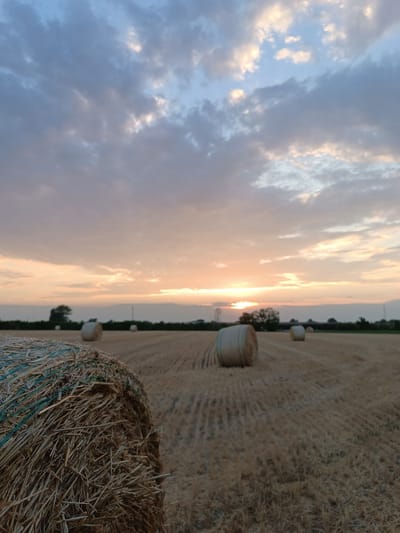 This media file depicts a rural scene at sunset in Viadana, Italy. The foreground is dominated by a close-up of a large, round bale of hay, its dry, golden stalks creating a textured surface. Beyond the hay bale, the image opens up to a harvested field dotted with several more hay bales, arranged in a row stretching into the distance. The field itself appears to be freshly cut, with stubble visible between the bales.

The sky is a prominent feature, filled with dramatic clouds. In the upper portion of the image, the clouds are a mix of grey and white, with hints of blue sky peeking through. As the eye moves towards the horizon, the clouds are illuminated by the setting sun, casting warm hues of orange and pink across the sky. The sun itself is a bright, glowing orb partially obscured by the clouds, indicating that the photograph was taken during the golden hour.

The horizon line is marked by a dark, silhouetted treeline and some indistinct structures, suggesting the edge of the agricultural land. The overall mood of the image is serene and peaceful, evoking the tranquility of the countryside at the end of the day. There is no visible text in the image.