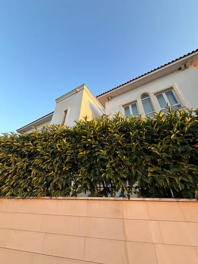 The image captures an upward view of a modern white house with a tiled roof, partially obscured by a dense green hedge. The house features several windows, including a set of three with an arched central window, and a narrow vertical window on a separate section of the building. The stone wall in the foreground is constructed from rectangular beige blocks. The sky above is a clear, bright blue, suggesting a sunny day. The lighting indicates it is either early morning or late afternoon, with warm sunlight casting a golden hue on the house and hedge. The scene appears to be a residential area in Pervolia, Cyprus. There are no people or animals visible in the image, and no discernible actions are taking place. The focus is on the architecture, vegetation, and the sky.