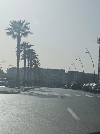 This image depicts a wide urban street in Salé, Morocco, captured under bright, hazy daylight conditions. The asphalt roadway in the foreground features distinct white painted lane markings, including solid lines, dashed lines, and segments consistent with a pedestrian crosswalk. Along the left side of the road, a raised median or sidewalk is bordered by a row of five prominent, tall palm trees. A single light-colored vehicle is partially visible on the far left edge of the frame. On the right side of the road, a row of approximately eight parked vehicles, predominantly dark-colored SUVs and sedans, are aligned parallel to the curb. Several modern streetlights with curved arms are visible extending into the frame from the right. In the background, a multi-story building, appearing residential or commercial with multiple windows and a flat roofline, is situated behind the trees and vehicles. No individuals are discernible within the scene.
