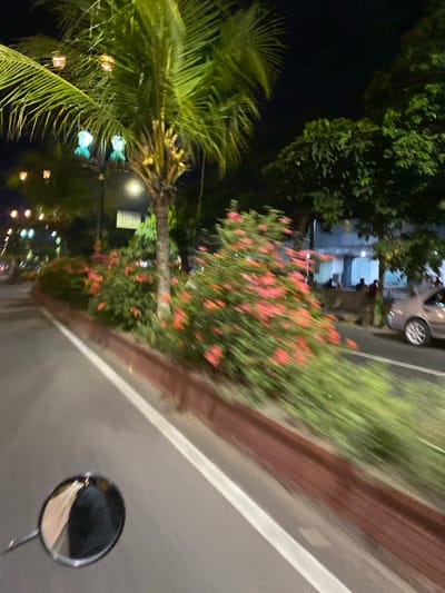 The image captures a scene at night, likely on a street in Madiun, Indonesia, possibly from the perspective of someone on a motorcycle given the presence of a rearview mirror. The perspective is tilted, suggesting movement or an unusual camera angle.

Dominant in the foreground are lush green palm fronds, illuminated by subtle lights that create a festive or tropical ambiance. Interspersed with the foliage are string lights, some appearing as warm orange glows, and others as decorative, possibly fish-shaped, illuminated objects in turquoise.

Further back, a vibrant bush with pink flowers is visible, also blurred due to motion or the low light conditions. Behind the flowers, a tree trunk is evident, and beyond that, a building with windows is partially visible. A silver car is parked to the right of the building, with its wheel and a portion of its body in frame. Some indistinct figures, likely people, are visible near the building entrance.

The setting appears to be a roadside with a paved surface. To the right of the road, a raised area with a reddish-brown texture, possibly a planter box or curb, runs parallel to the street. The overall atmosphere is dimly lit, characteristic of nighttime, with the various lights creating points of interest against the dark background. The blurriness throughout the image suggests a dynamic situation, such as travel. No visible text is present in the image.
