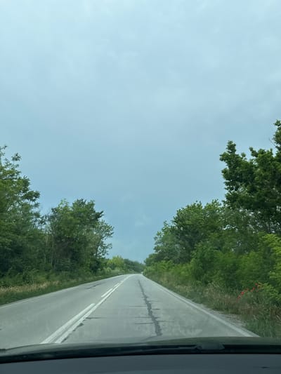 An eye-level shot, taken from inside a vehicle looking out a side window, captures a rural road winding through a natural landscape under a bright, overcast sky. The asphalt road, showing signs of wear with cracks, features a double solid white line running along its center. On the far right, a portion of the vehicle's window frame is visible.

Both sides of the road are lined with dense green trees and bushes, suggesting a forested or heavily vegetated area. Amidst the greenery on the left side of the road, small patches of vibrant red flowers, possibly poppies, provide a noticeable splash of color against the verdant background. The sky above is a uniform light blue, indicating a cloudy or hazy daytime scene. The image conveys a sense of a journey through nature, typical of the Topoli, Bulgaria region. No human figures or discernible text are present.