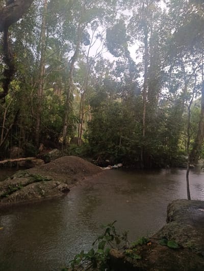 The image depicts a body of water, possibly a river or large stream, surrounded by dense vegetation and trees. The scene is located in Baan Thong Nang, Thailand. The water appears murky and possibly fast-flowing. Rocks and a dirt embankment are visible along the edge of the water. The sky is overcast, creating subdued lighting. No people or animals are visibly present. The overall environment suggests a natural, possibly forested area.