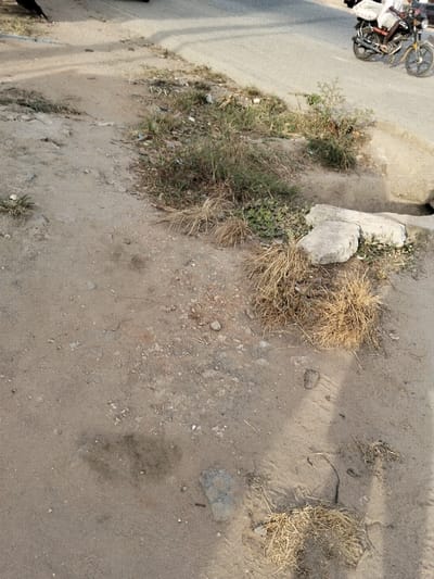 The image displays an outdoor scene, primarily focusing on an unpaved, sandy and dirt-covered area adjacent to a paved road. The ground is a mix of light brown and greyish dirt, with numerous small stones and scattered debris. Patches of vegetation are interspersed throughout this unpaved section; some are green, thriving grasses and low-lying plants, while others are clumps of dried, straw-like grass.
In the upper right portion of the image, a paved road is visible, gently curving away. On the road, a motorcycle or scooter with a person on it is partially visible. The person appears to be wearing a light-colored top, and some white bundles or bags are secured to the back of the motorcycle.
Towards the right side of the unpaved area, two irregularly shaped, light-colored concrete chunks are resting near what appears to be the edge of a ditch or culvert opening, indicated by a dark, shadowed recess.
Long shadows are cast across the dirt ground from the left side of the frame, suggesting either early morning or late afternoon sunlight. A large, dark, elongated shadow stretches across the lower left and central parts of the image, hinting at an object or person just out of frame to the left. The overall impression is that of a roadside verge in a dry or arid environment, possibly in a less developed area, given the unkempt nature of the ground and the mixture of natural growth and debris. No text is visible in the image.