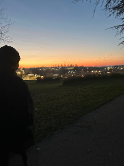 The image, displayed initially on its side but here described as if correctly oriented, captures an expansive outdoor scene at dusk in Saint-Quentin, France. The sky dominates the upper half, transitioning dramatically from a deep blue at the top to a vibrant gradient of orange and yellow along the horizon, indicating a clear sunset or twilight. Numerous small, dark specks, likely birds, are visible against the brighter parts of the sky.
Along the distant horizon, a town or city is visible, characterized by a line of illuminated artificial lights from buildings and possibly streets, piercing through the fading natural light. In the midground, a dark green grassy field stretches across the right side of the frame, meeting a darker paved path or road.
In the bottom-left foreground, the silhouette of a person wearing a hooded jacket is visible, with only the head and upper torso discernable against the sky. Sparse, bare tree branches frame the very left edge of the image. The overall setting suggests a tranquil evening in a park or open area overlooking an urban landscape. There is no visible text.