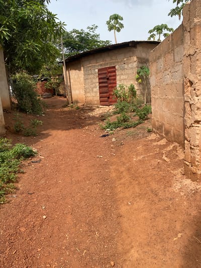 An unpaved, reddish-brown dirt path, typical of Nsukka, Nigeria, extends through a semi-enclosed area under a partly cloudy sky. To the immediate left, a dense cluster of large-leafed green trees and shrubs partially obscures a light-colored vertical concrete structure. Further along the path on the left, another structure with a dark roof and a red metal gate is visible through the foliage. In the midground, on the right side of the path, stands a single-story building constructed from unpainted concrete blocks with a corrugated metal roof. This building features a prominent dark red, vertically slatted double door. Above the roofline of this building, several thin-trunked papaya trees with distinctive leafy crowns are visible against the sky. To the immediate right of the path, a tall, rough-textured wall, also constructed from concrete blocks, runs parallel to the path. Sparse green vegetation, including small plants and ground cover, grows along the edges of the path and at the bases of the structures. The ground surface is uneven, composed of small reddish-brown gravel and dirt, with scattered minor debris including dry leaves and a small dark object. No individuals are present, and no actions or interactions are observed.