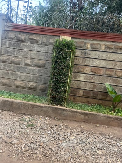 A grey brick wall bordered with a red trim is partially covered by a rectangular green planter. A small patch of green grass grows along the base of the wall on the right side. The ground to the right of the wall is a gravel path. Above the wall, trees and a barbed wire fence are visible against a pale sky.